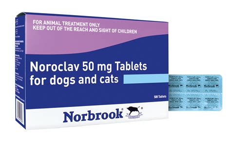 noklav devient|Noroclav 250 mg 200 mg .